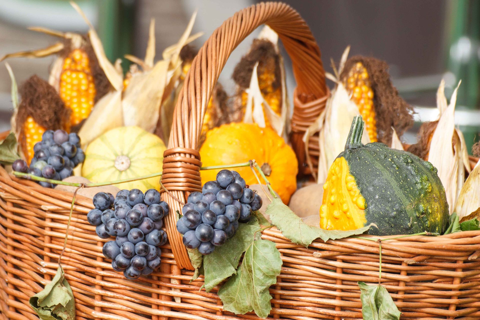 Sapori d’Autunno – Luzzi