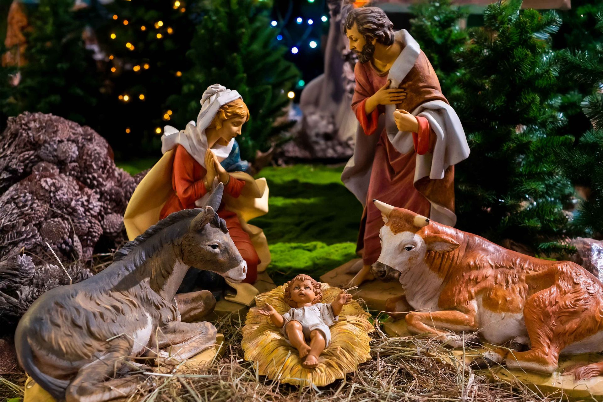 Presepe Vivente - Lamezia Terme