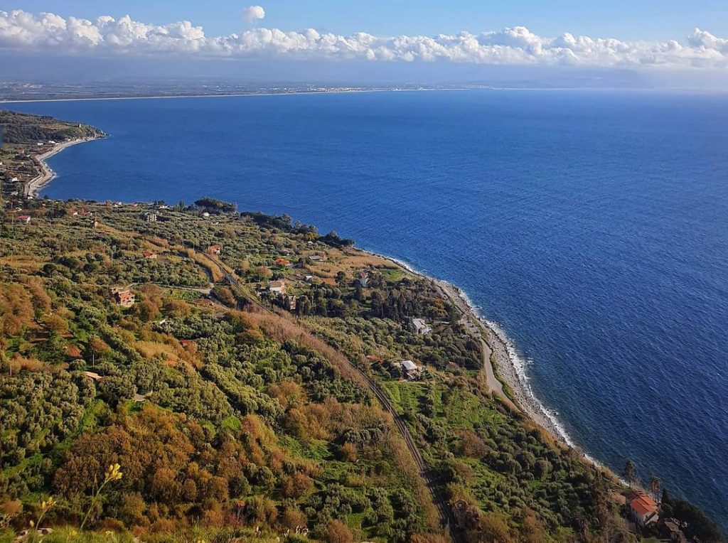 Coccorino