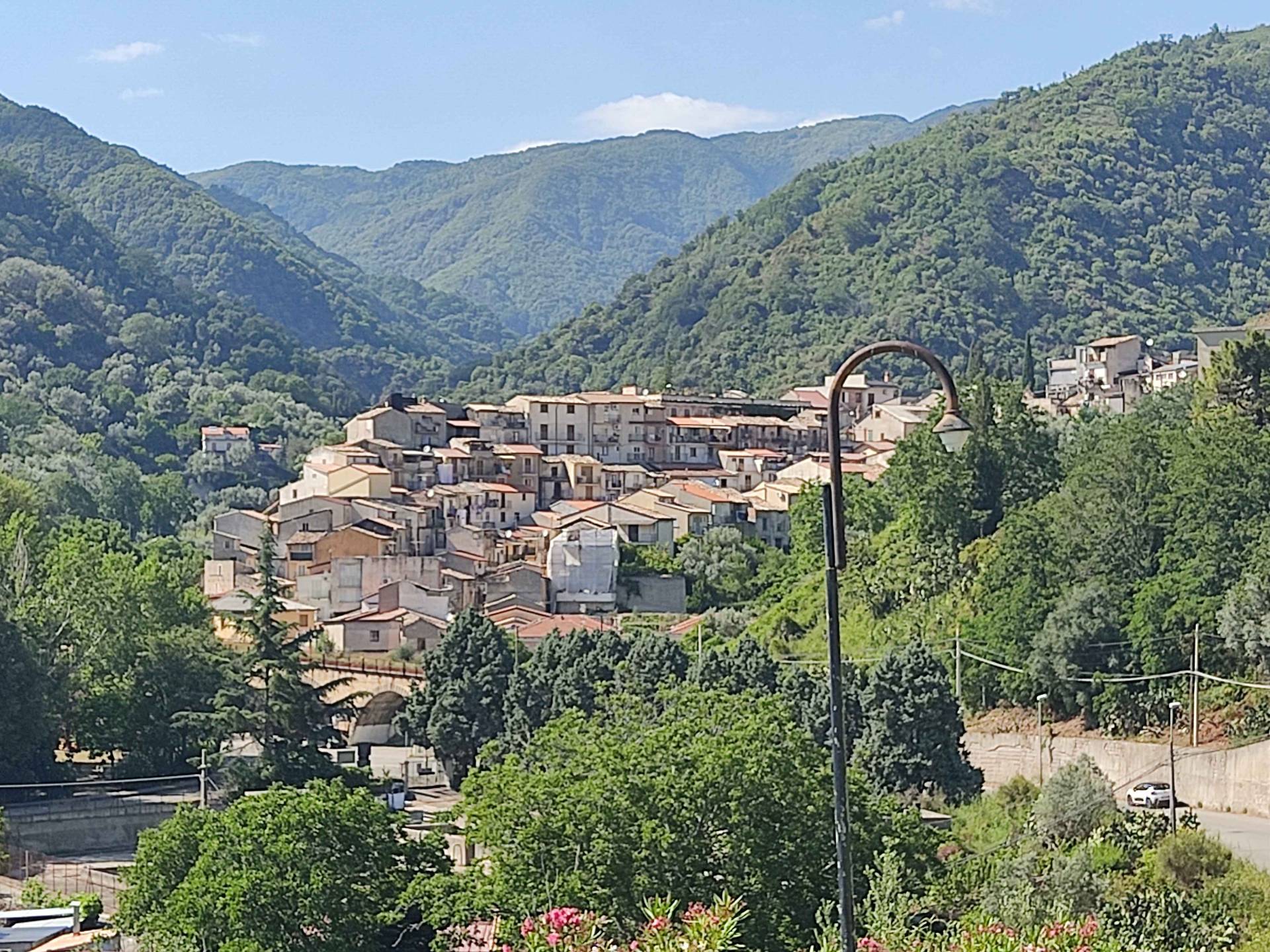 Mammola