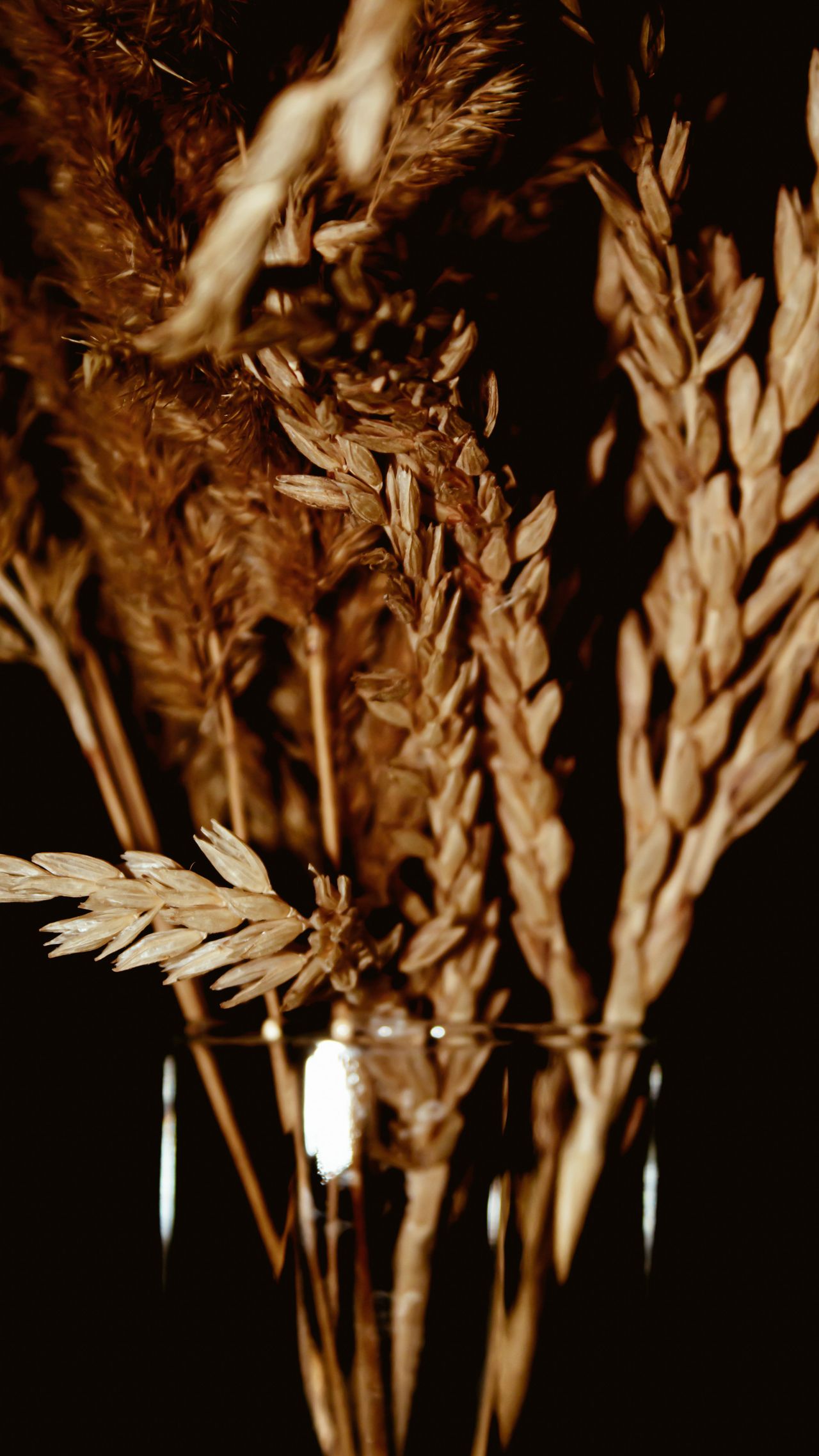 I Sapori del Grano Arbëreshë - Santa Caterina Albanese