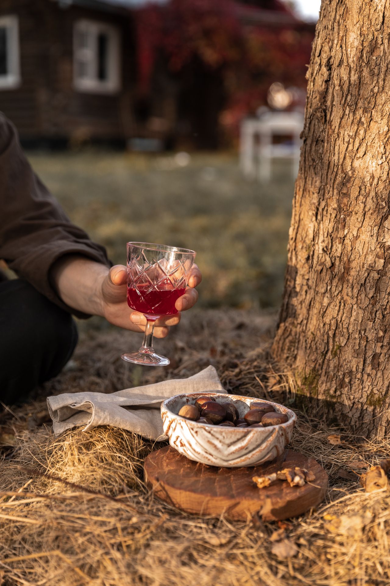 Le Giornate della Castagna e del Vino — Serra San Bruno