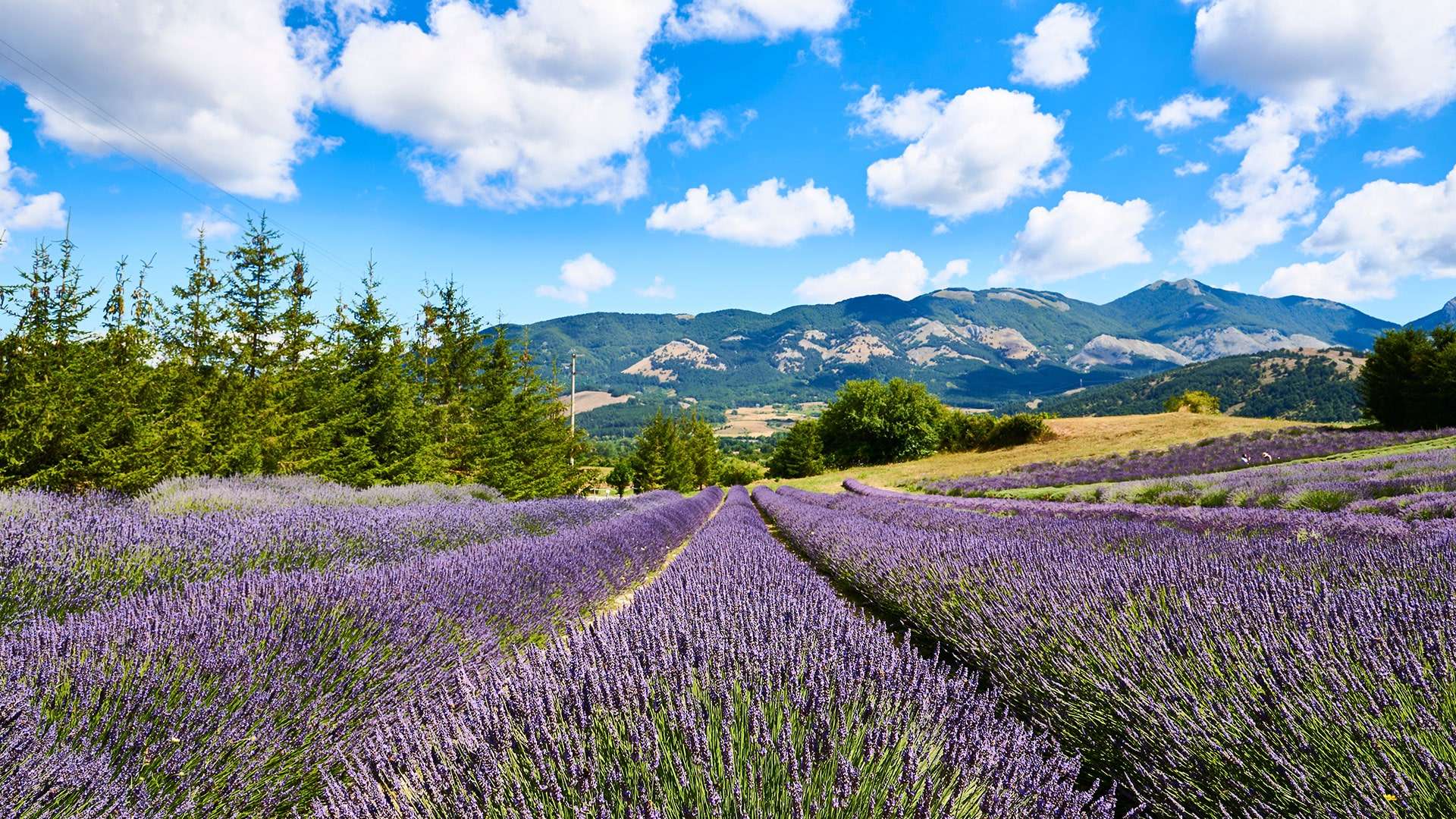 Esplorare il Parco Nazionale del Pollino