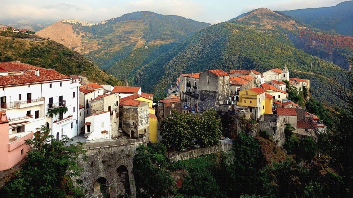 Tortora